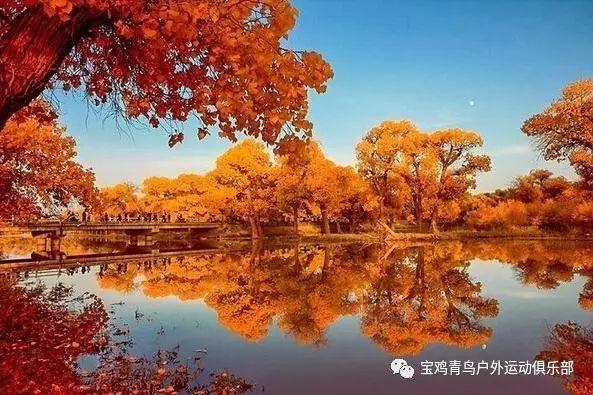 模拟山羊